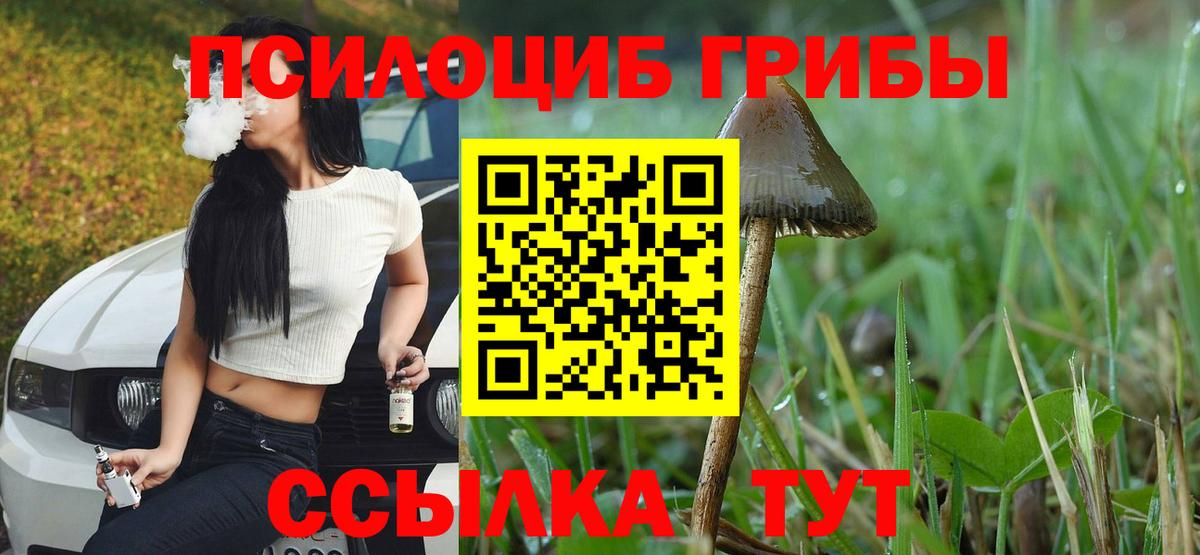 Кировск  Галлюциногенные грибы GOLDEN TEACHER  Вход с VPN  Псилоцибиновые грибы мицелий 